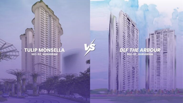 DLF the Arbour Vs Tulip Monsella